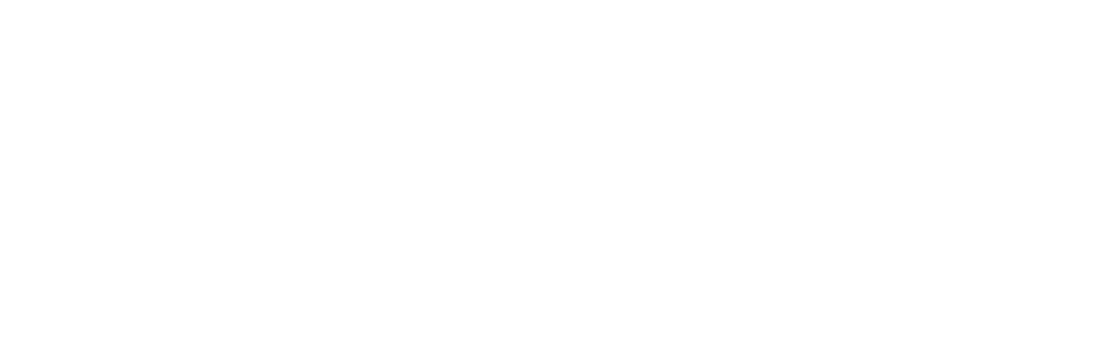 windsor travel agency -white logo